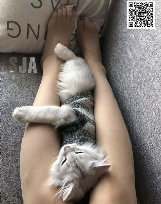 激情网址在线观看_BD免费观看韩国